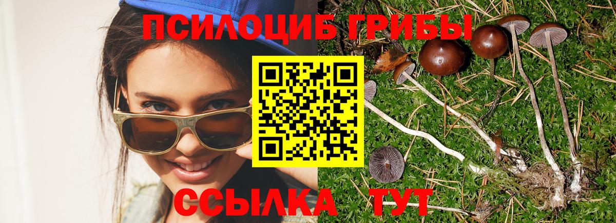 Галлюциногенные грибы Cubensis  Галлюциногенные грибы ЛСД  Вход с VPN  Североморск 