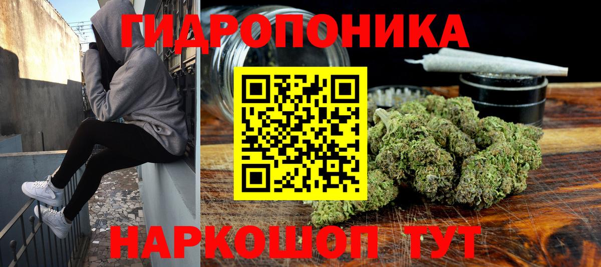 Североморск  Канабис Bruce Banner  Каннабис конопля  Бошки Шишки THC 21%  Бошки Шишки OG Kush  Вход с VPN 